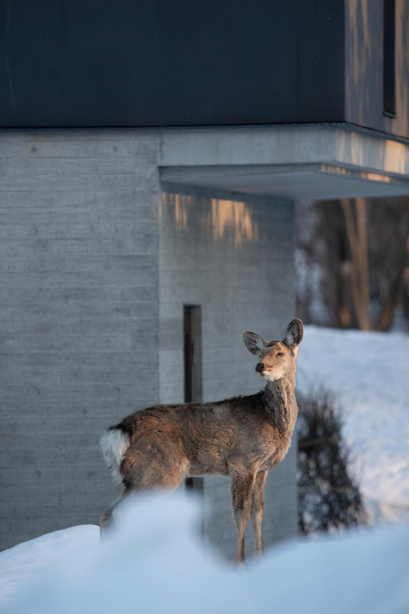 Chalet Ivy Jozankei Sapporo Luaran gambar